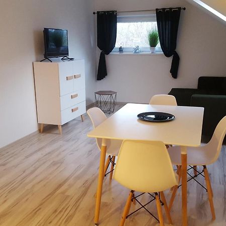 Apartamenty - Pod Wierzbami Dwikozy Værelse billede