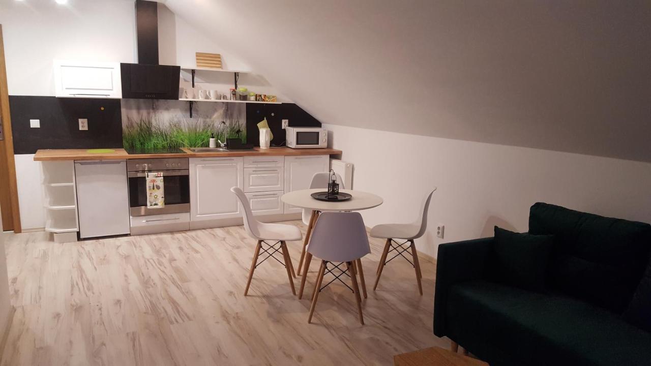 Apartamenty - Pod Wierzbami Dwikozy Eksteriør billede