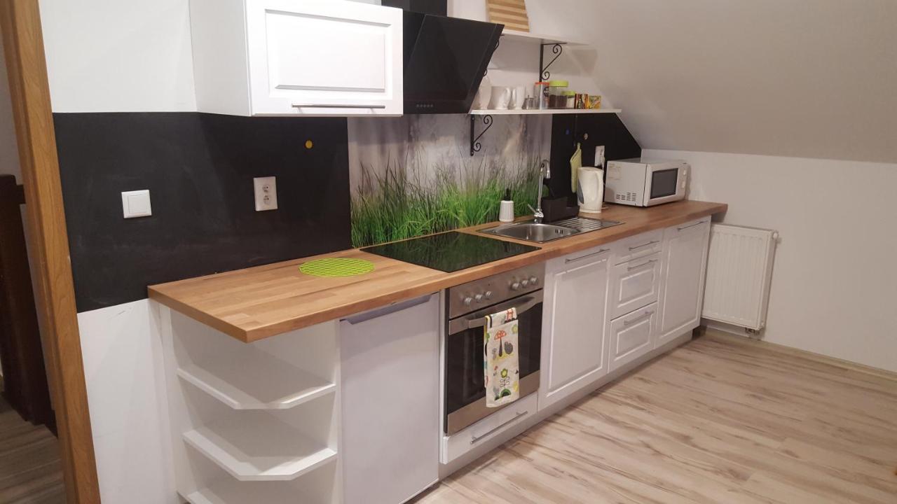 Apartamenty - Pod Wierzbami Dwikozy Eksteriør billede