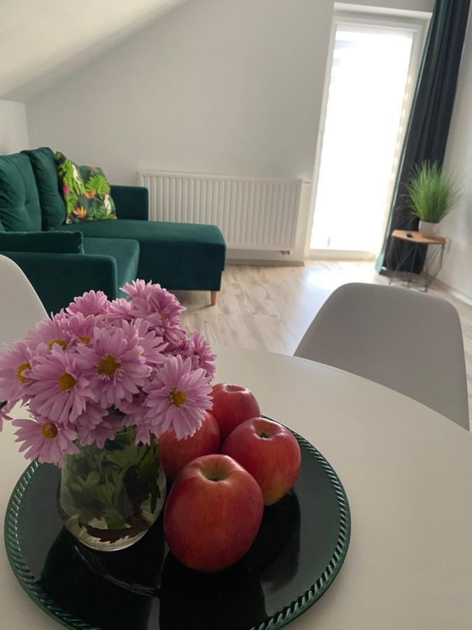 Apartamenty - Pod Wierzbami Dwikozy Eksteriør billede